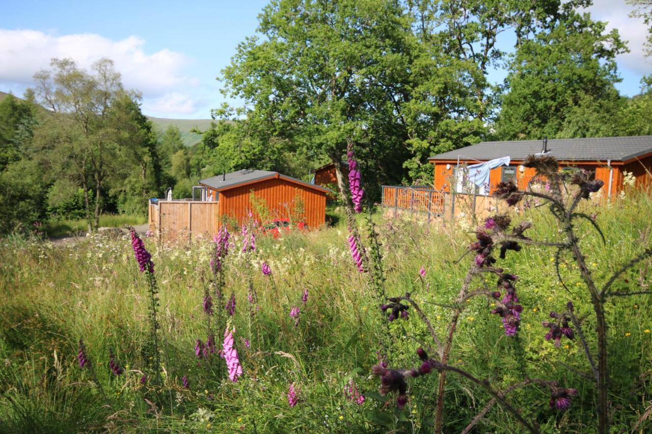 Balquhidder Braes Holiday Park Lodges, Mostly With Hot Tubs And Pet Friendly, Ev Facilities Lochearnhead Buitenkant foto