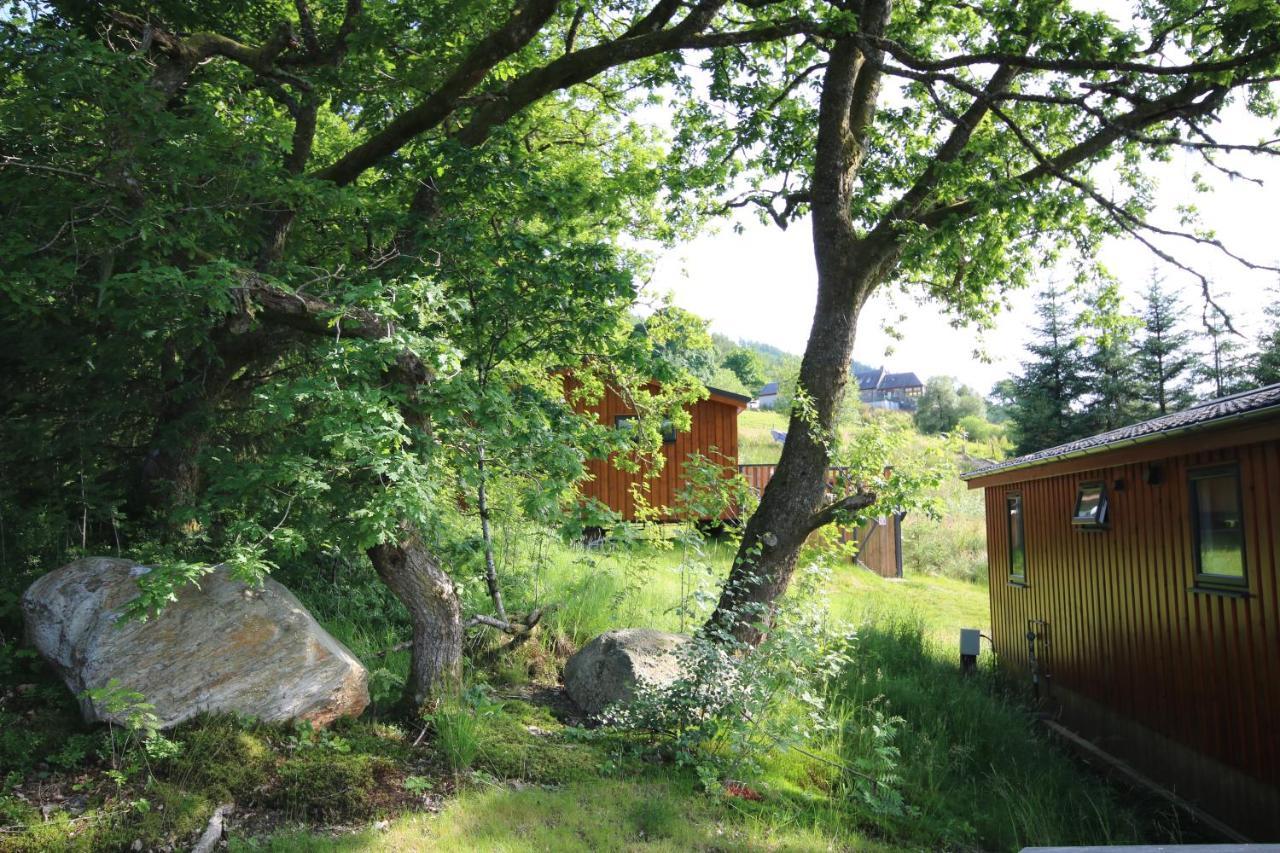 Balquhidder Braes Holiday Park Lodges, Mostly With Hot Tubs And Pet Friendly, Ev Facilities Lochearnhead Buitenkant foto