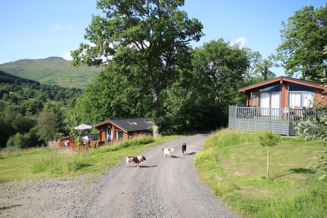 Balquhidder Braes Holiday Park Lodges, Mostly With Hot Tubs And Pet Friendly, Ev Facilities Lochearnhead Buitenkant foto
