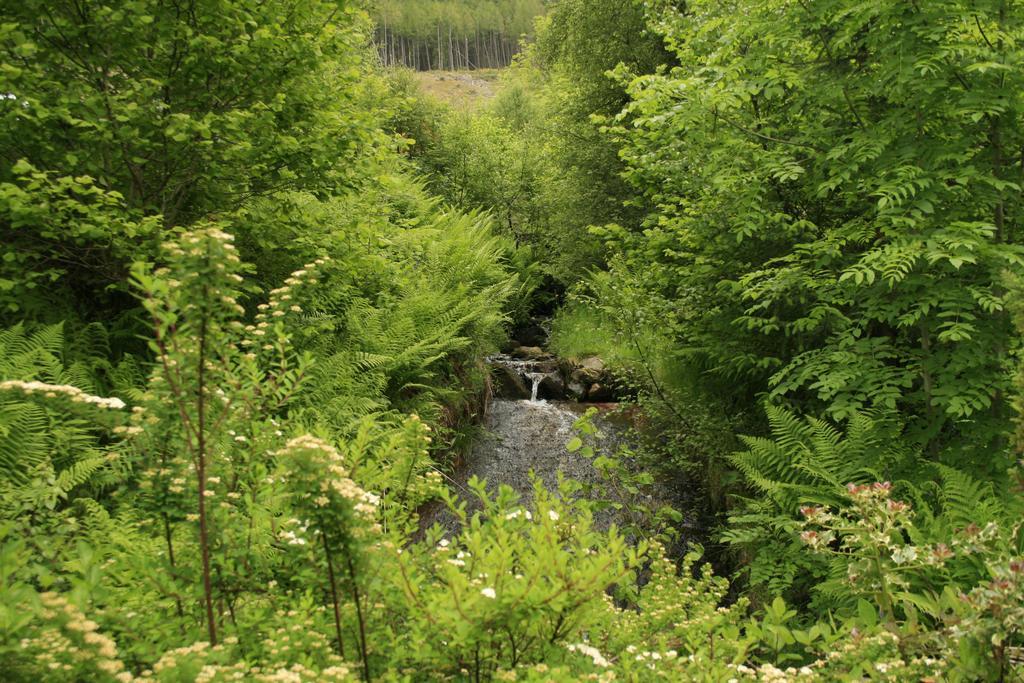 Balquhidder Braes Holiday Park Lodges, Mostly With Hot Tubs And Pet Friendly, Ev Facilities Lochearnhead Buitenkant foto