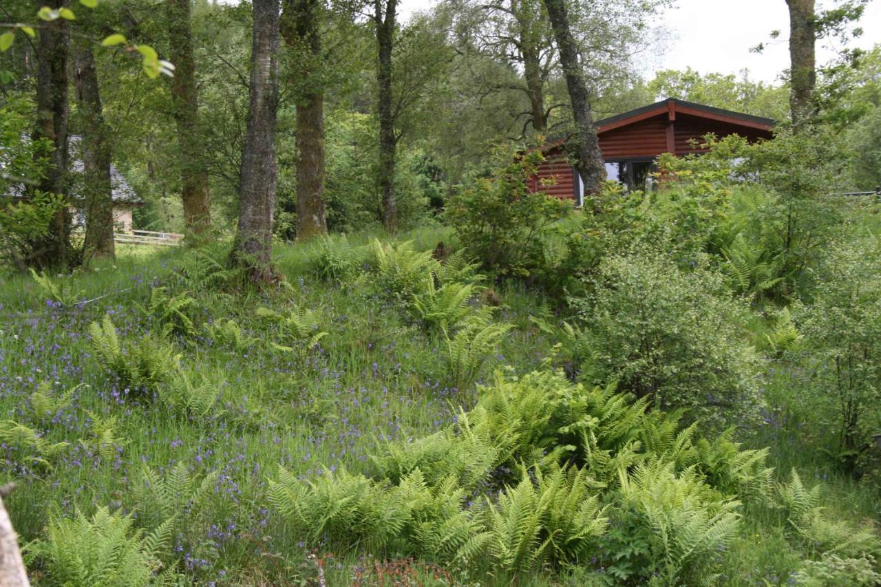 Balquhidder Braes Holiday Park Lodges, Mostly With Hot Tubs And Pet Friendly, Ev Facilities Lochearnhead Buitenkant foto
